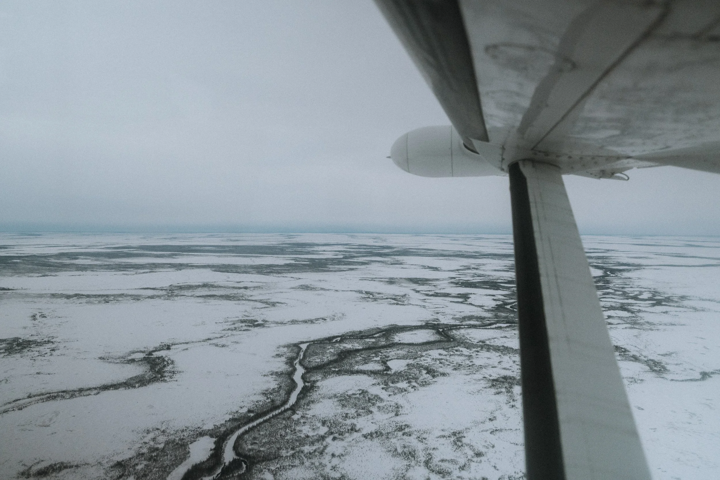 HR208860.jpg