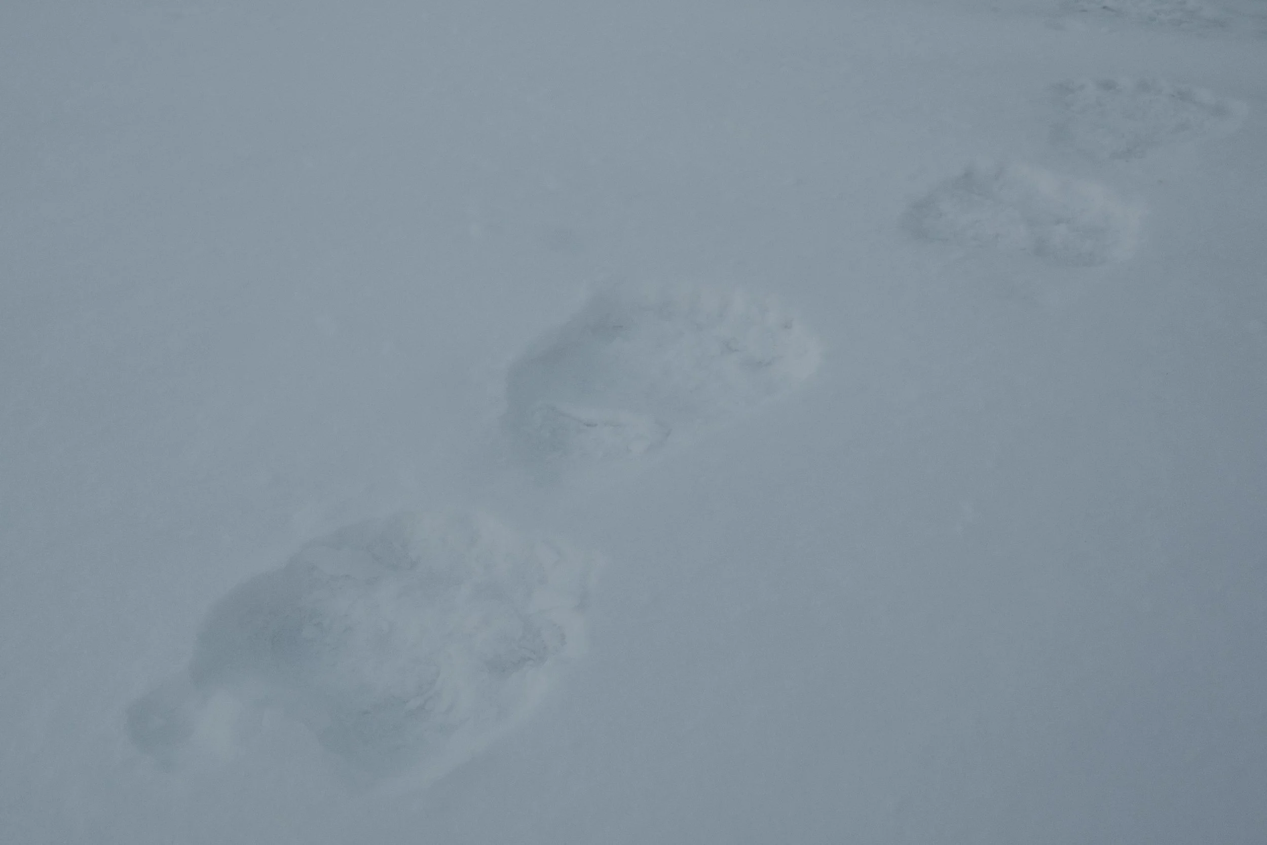 HR208787.jpg