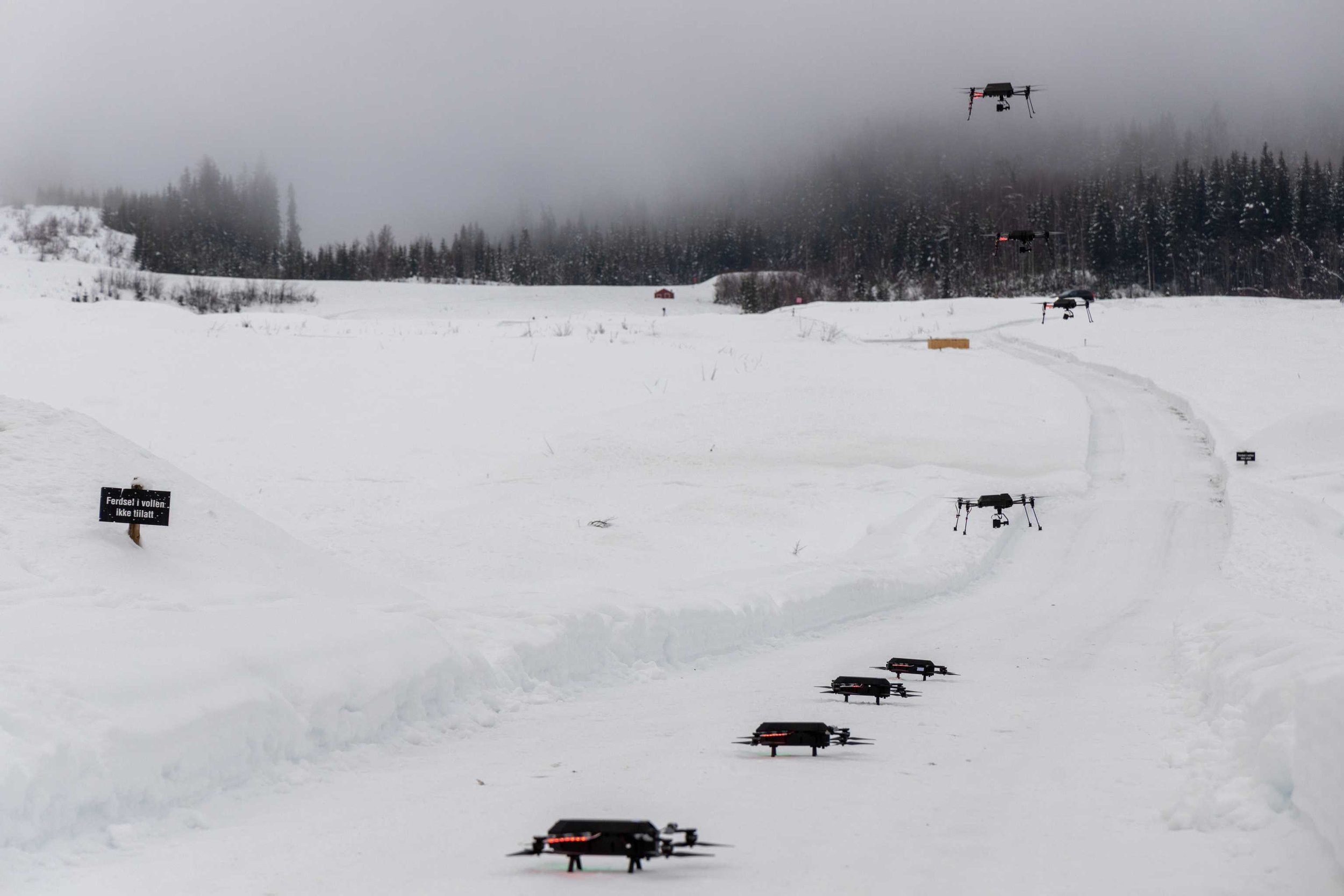 Swarm of drones flying over a snowy landscape with trees and fog in the background, featuring a sign partially covered by snow.