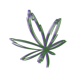 Conscious Cannabis Experience