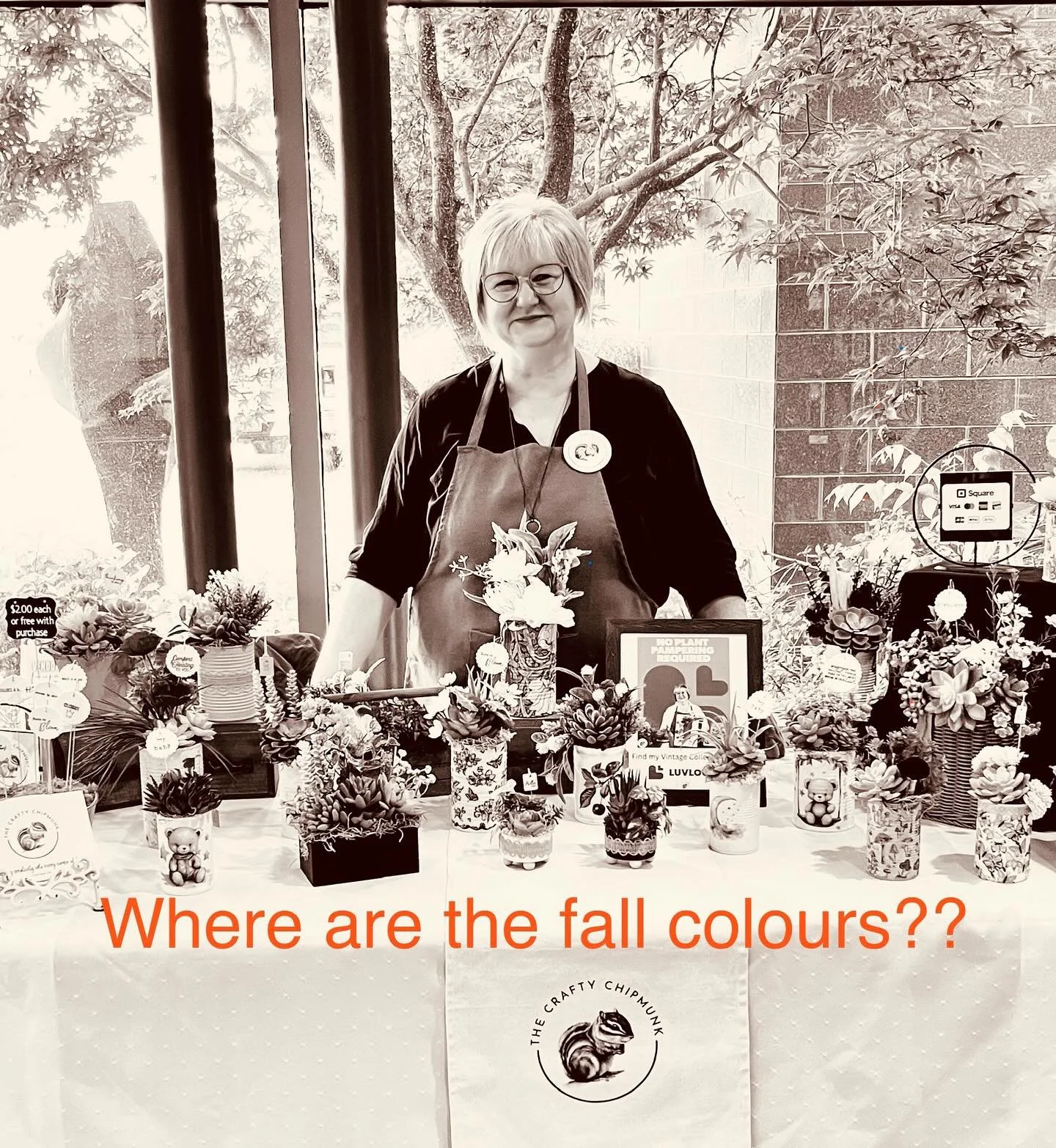 Find me, 🐿️, and the beautiful fall colours at CKHA Chatham Campus.  Wednesday October 8 from 9:00 - 3:00 pm. In the hall between the elevators and Diagnostic Imaging. 🍁