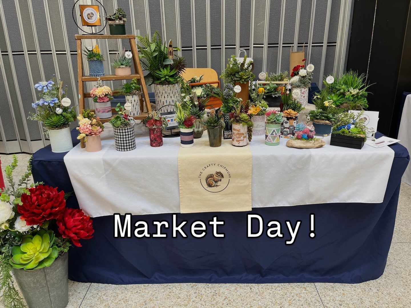You remember I&rsquo;m at the market, right? 😉🐿️