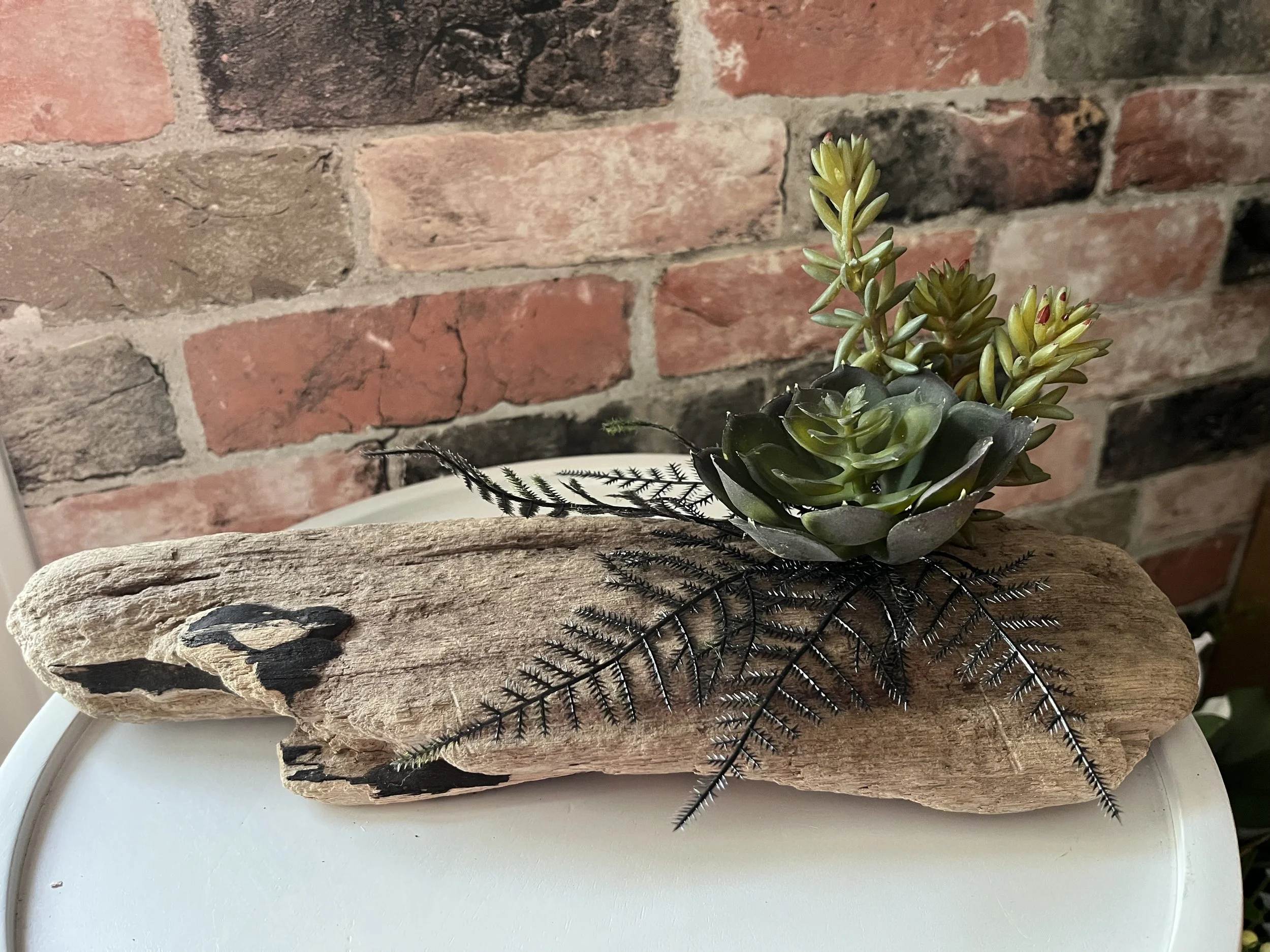Medium natural driftwood design