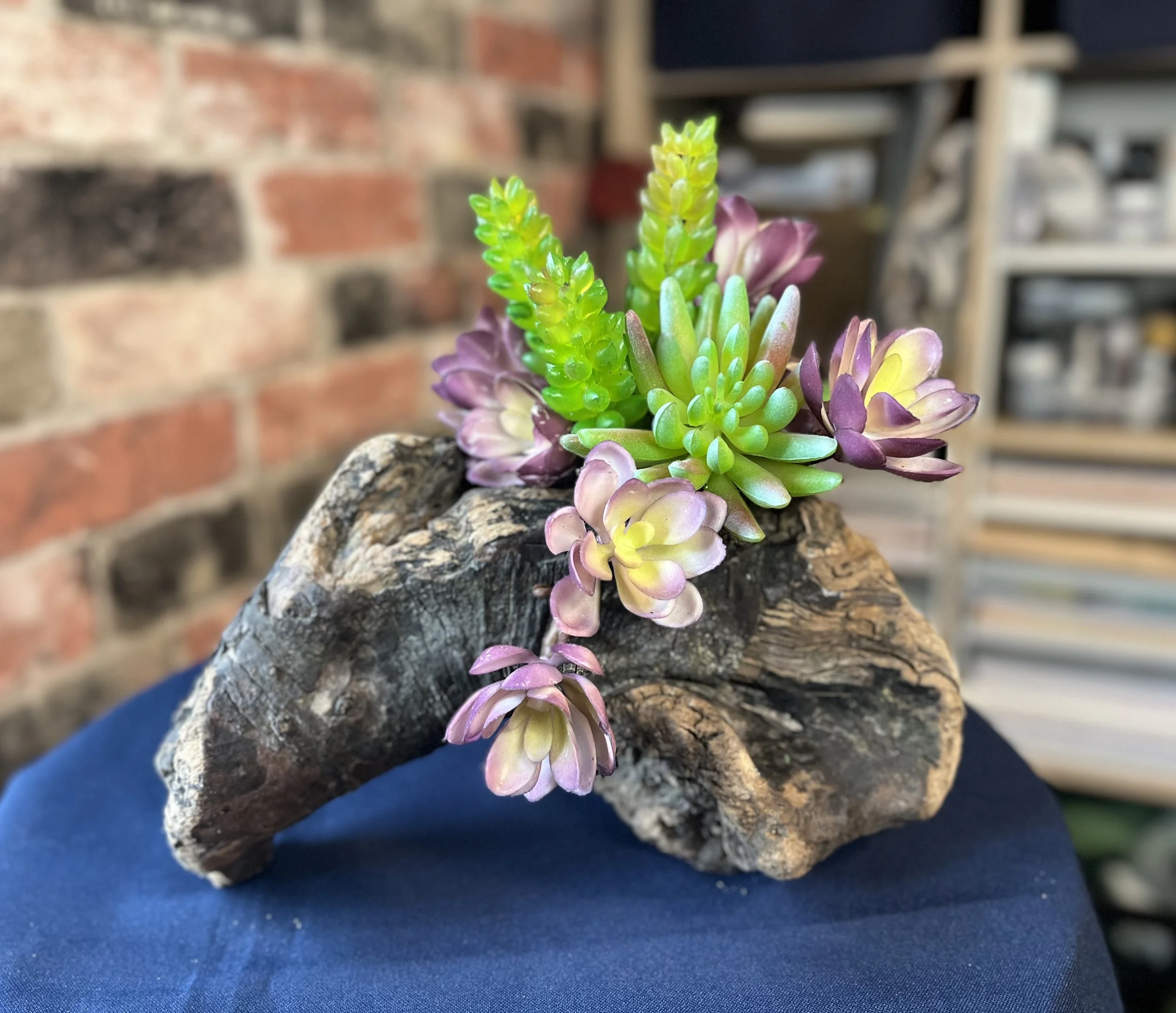 Natural driftwood