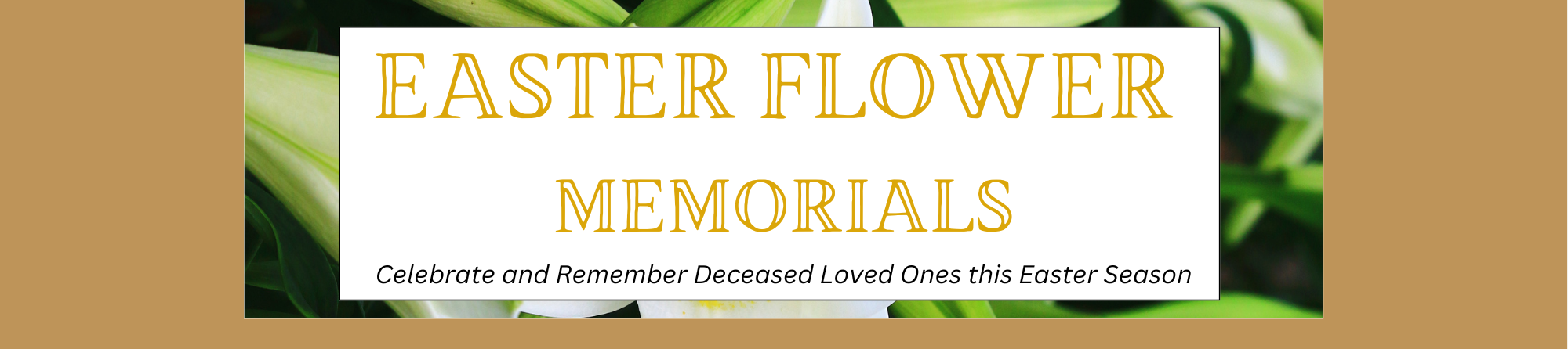 Website Slideshow (45).png