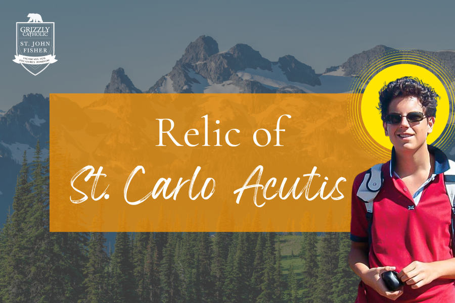 Relic of Bl. Carlo Acutis