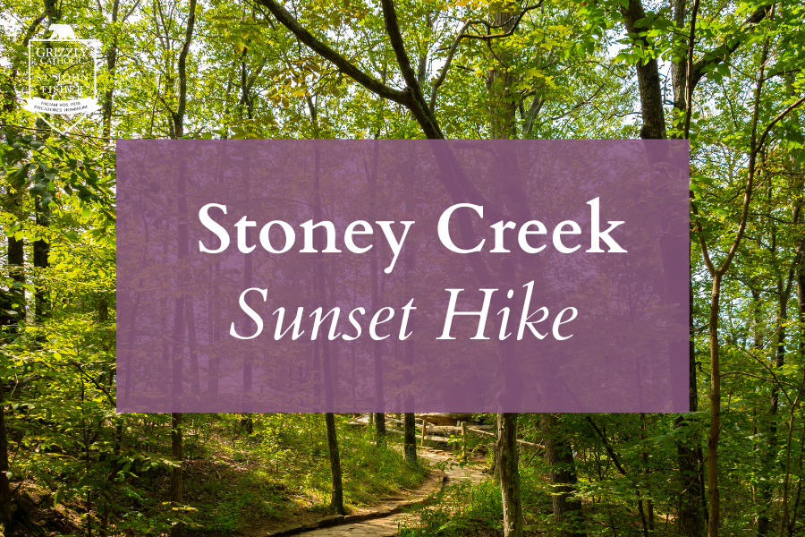 Young Adult Stoney Creek Sunset Hike