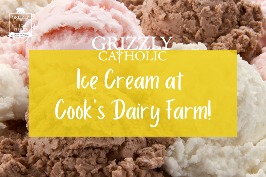 Ice Cream at Cook’s Dairy Farm!