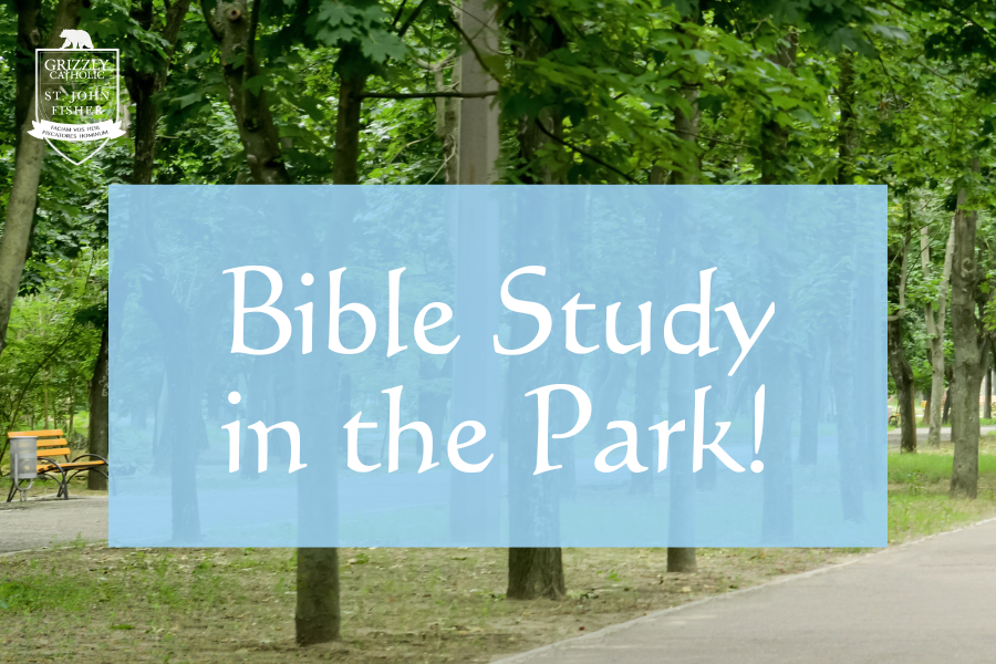 Young Adult Bible Study in the Park!