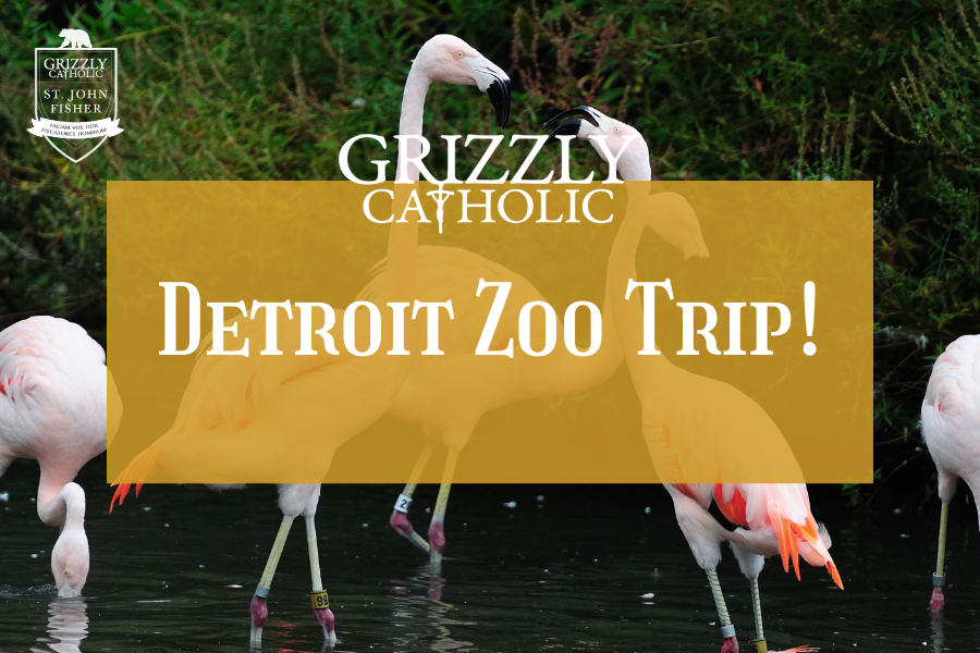 Detroit Zoo Trip!