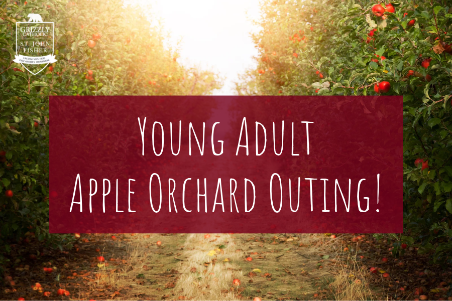 Young Adult Apple Orchard Outing!