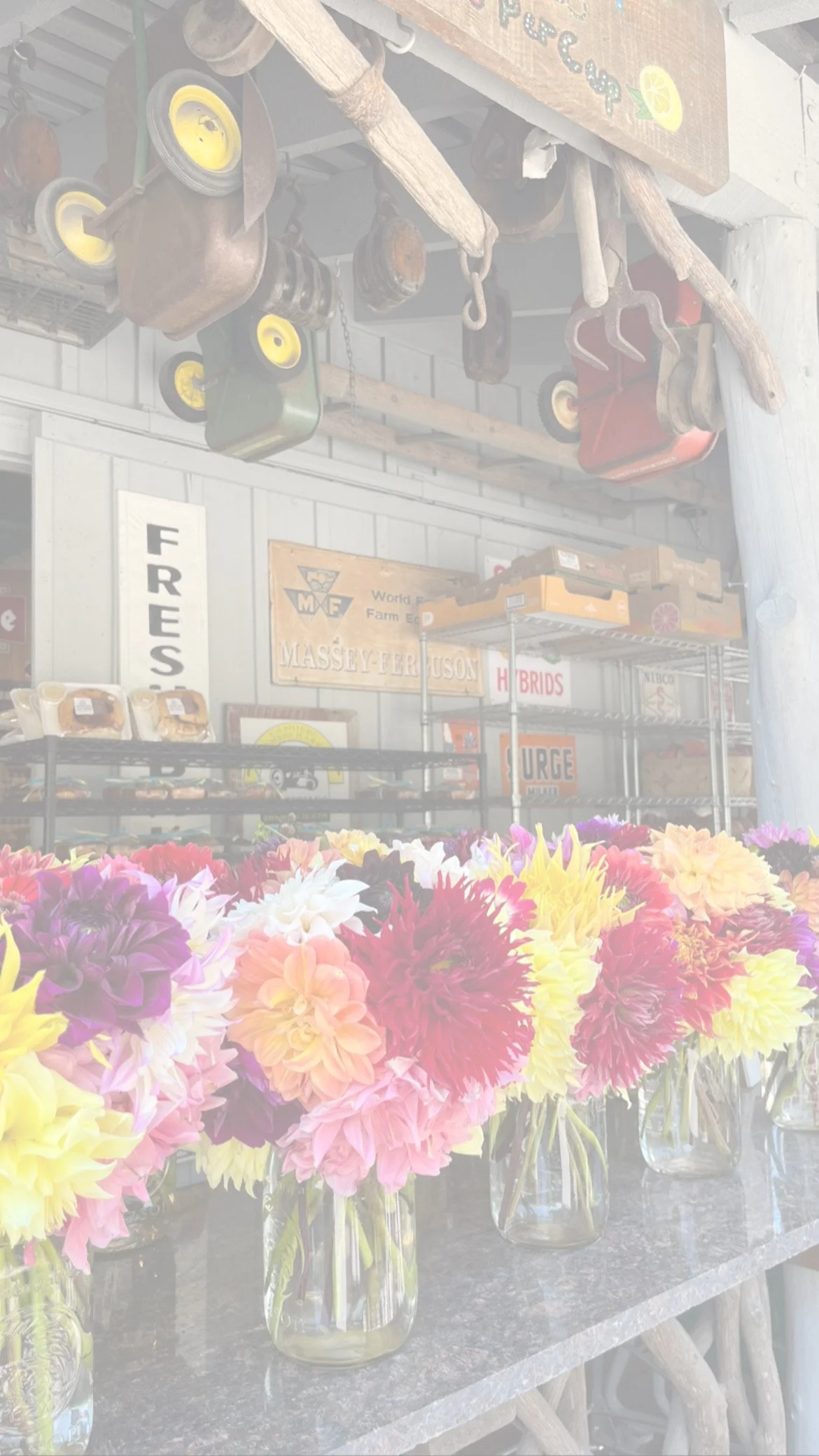 dear teenage girl, just be yourself.