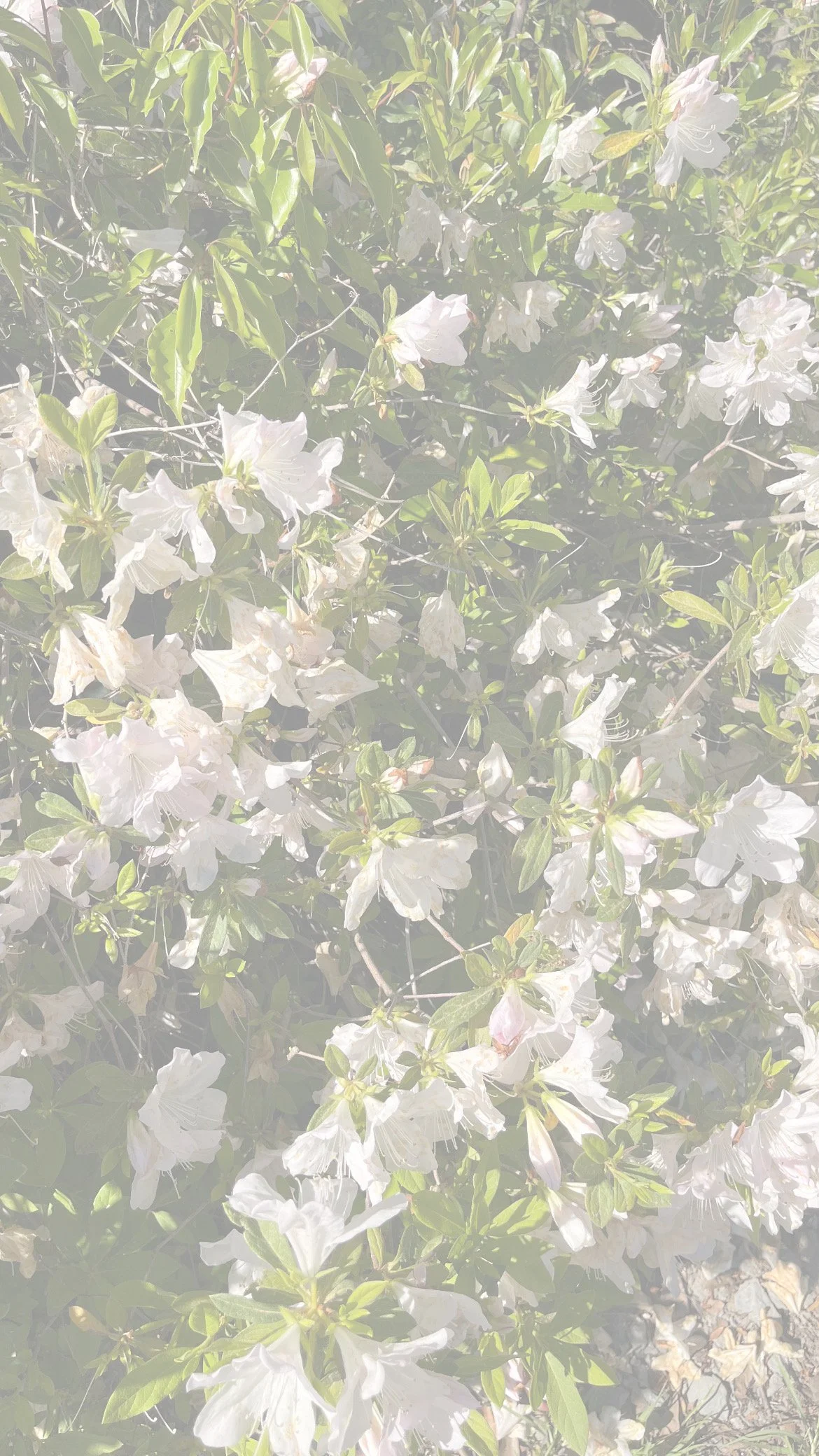 finding my true worth