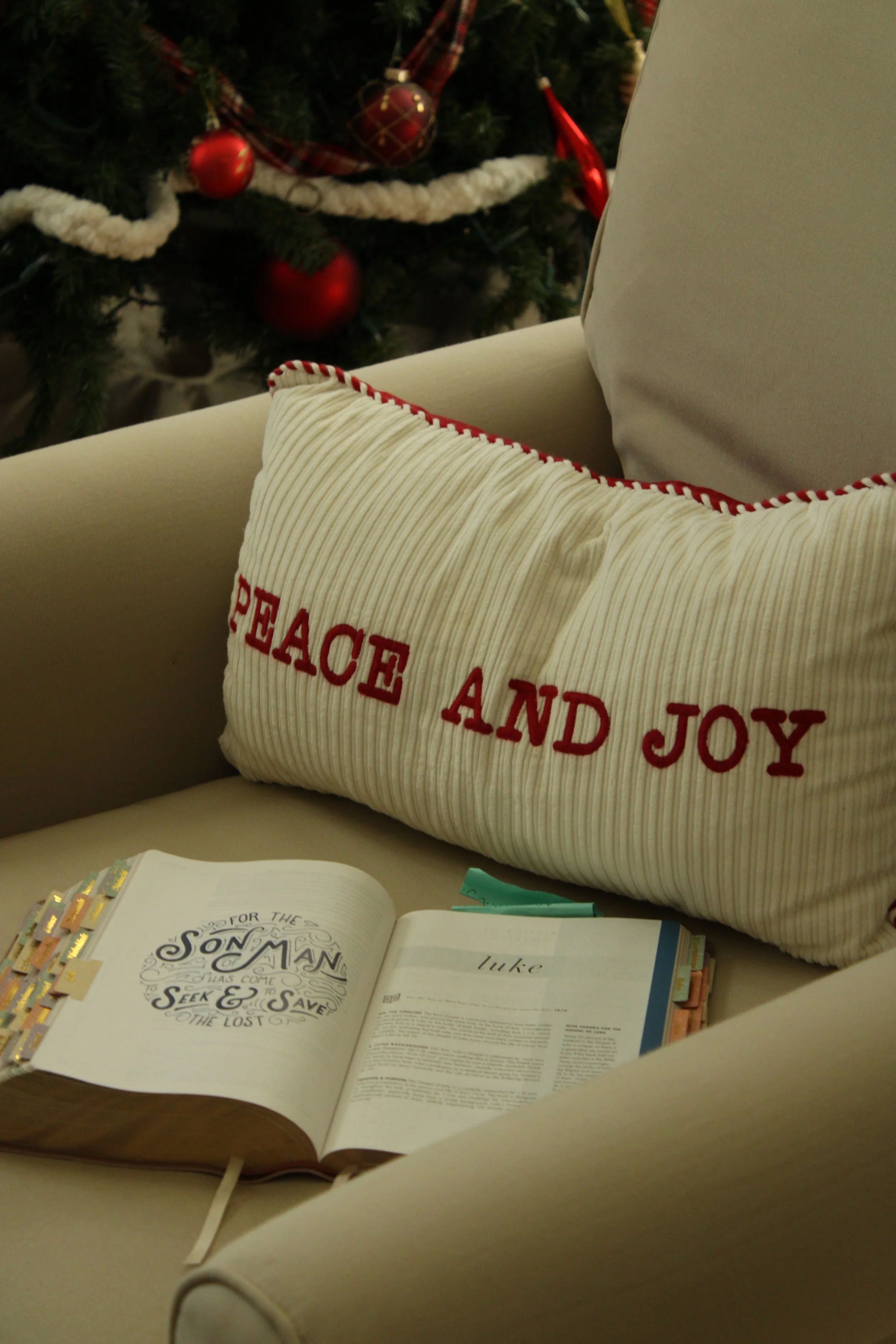 Christmas: the truth and beauty.