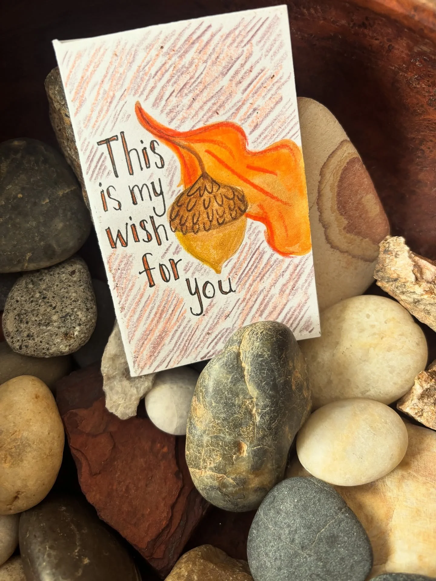 Made a little zine from a zine workshop with @catiecreating at the Botanic Gardens and finally got to finish it. 🍃🍂🍁🐿️ - see stories for the little video 🤎