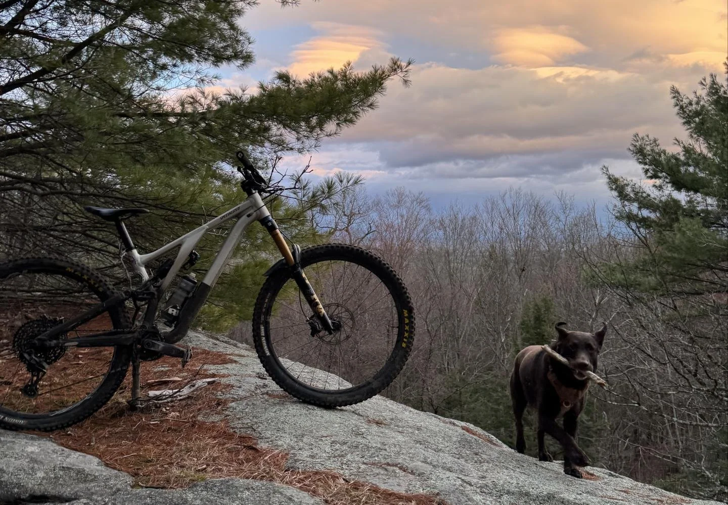 Bike ADK: Getting Technical at Daniels Road by Phil Brown