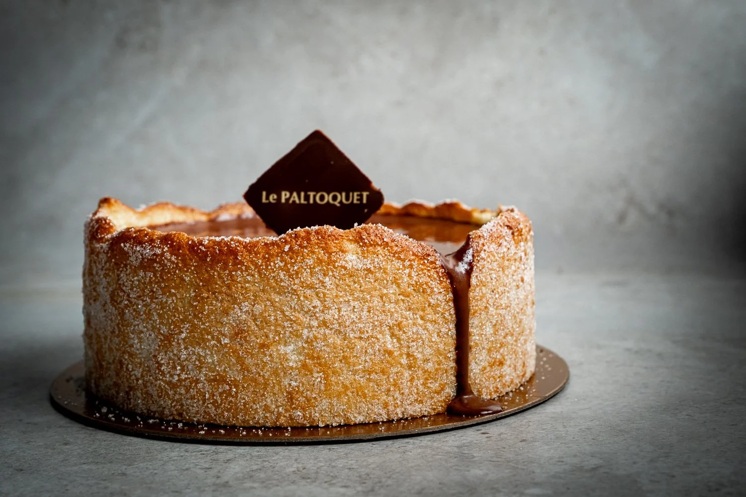 Paltoquet_XH222485.jpg