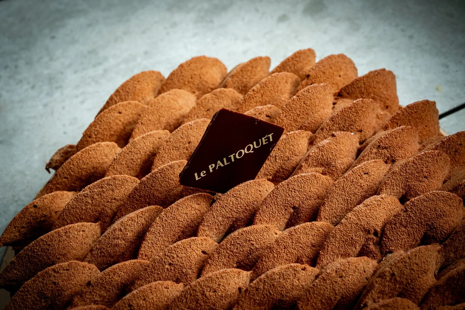 Paltoquet_XH222182.jpg