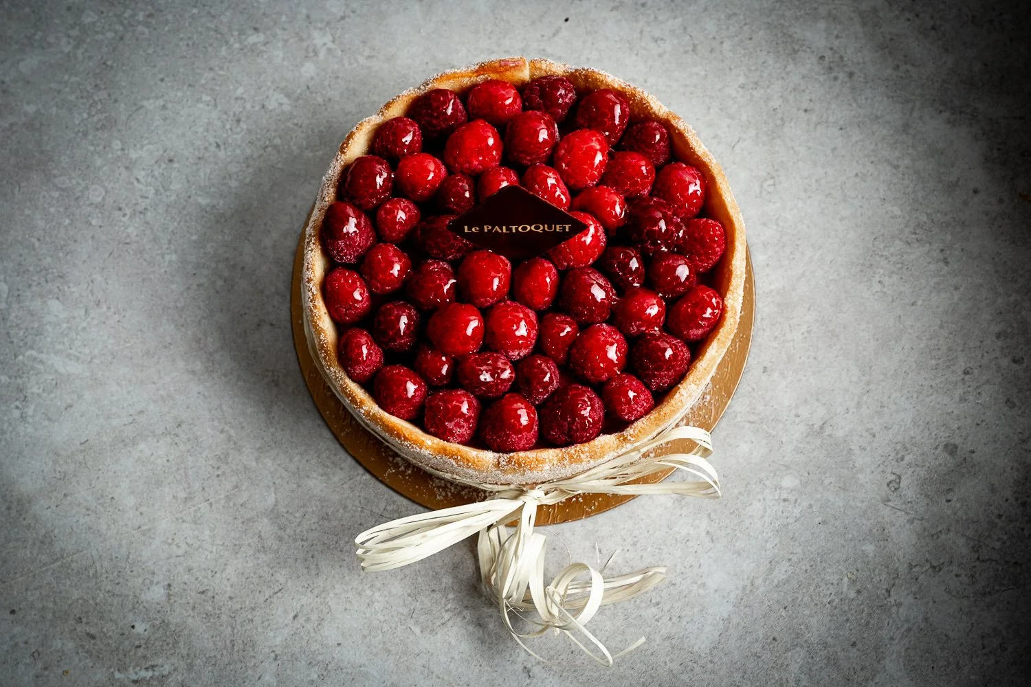 Paltoquet_XH222285.jpg