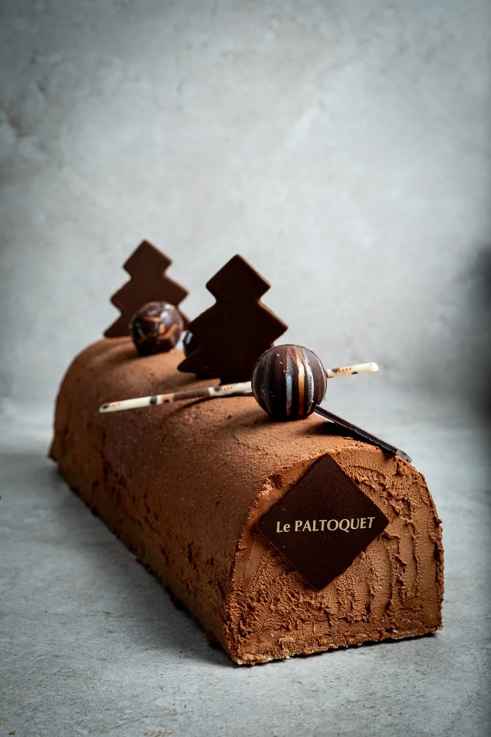 Paltoquet_XH222616.jpg