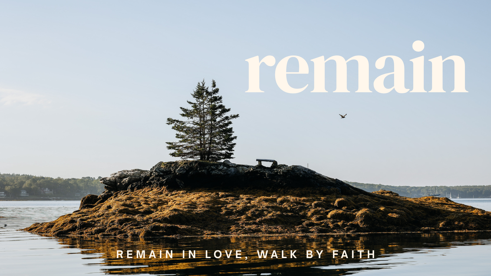 Remain