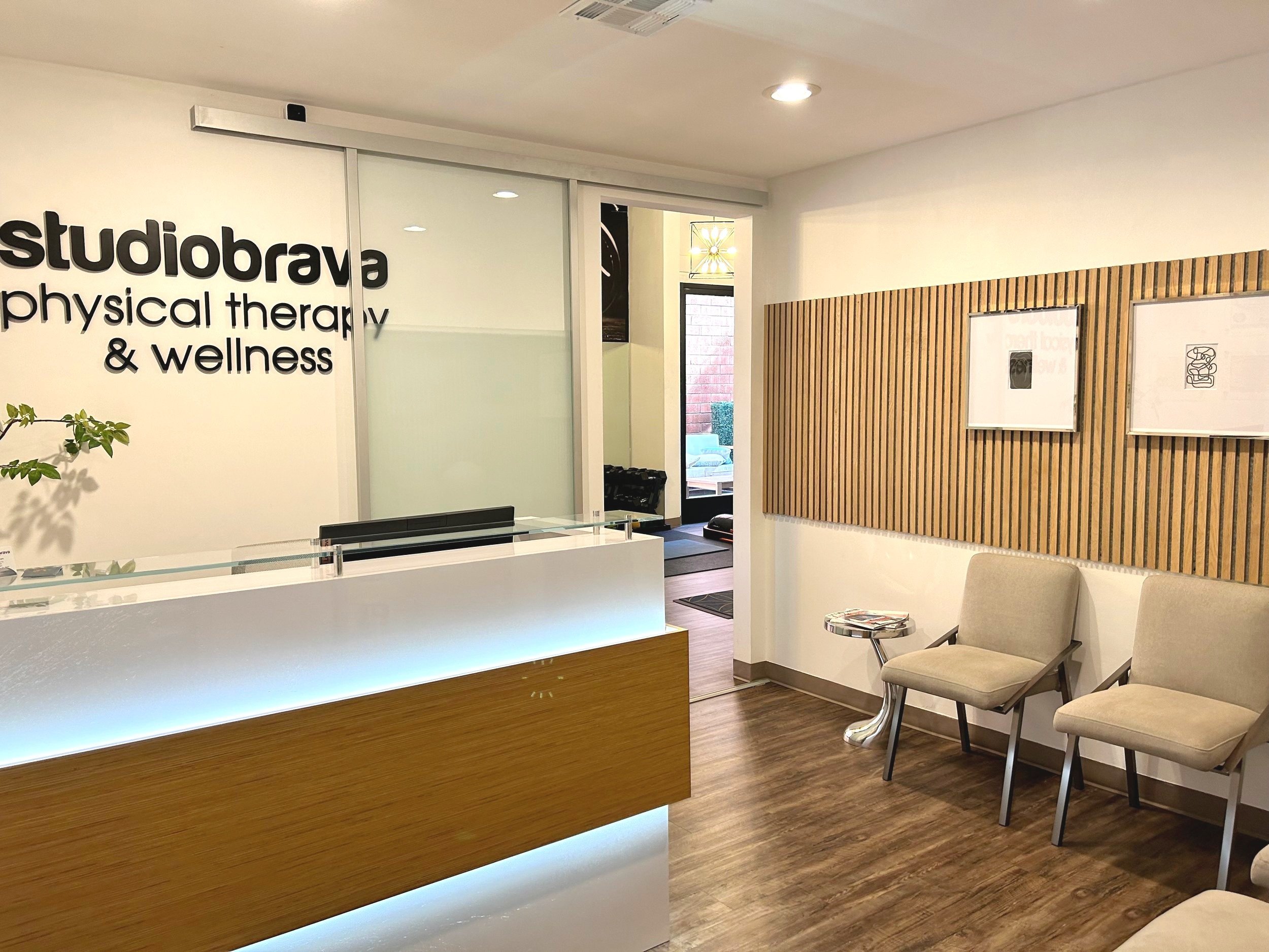 Experience Whole-Body Wellness at Studio Brava Physical Therapy