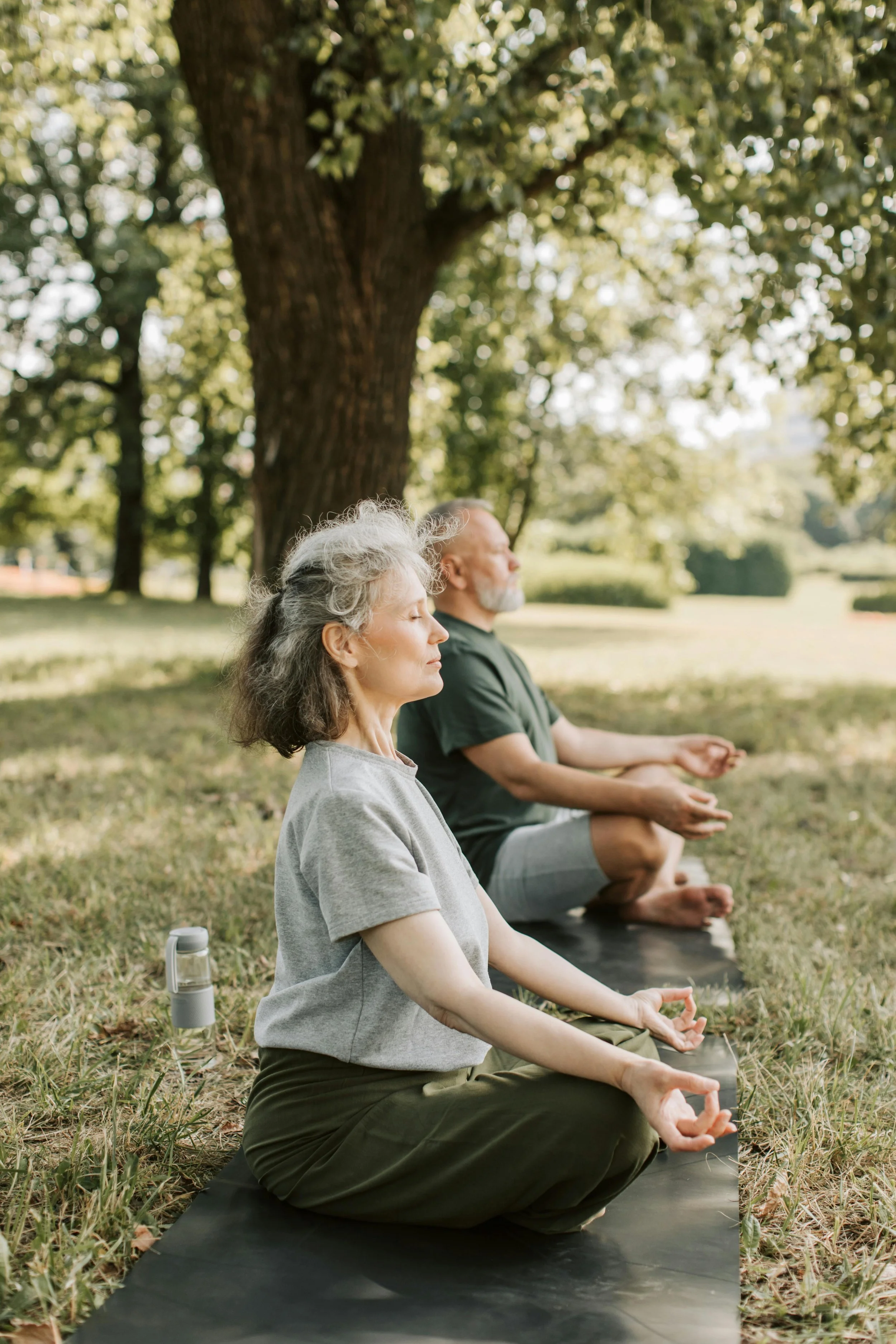 Två personer sitter i lotusställning på yogamattor utomhus under ett träd och mediterar och andas i solen.