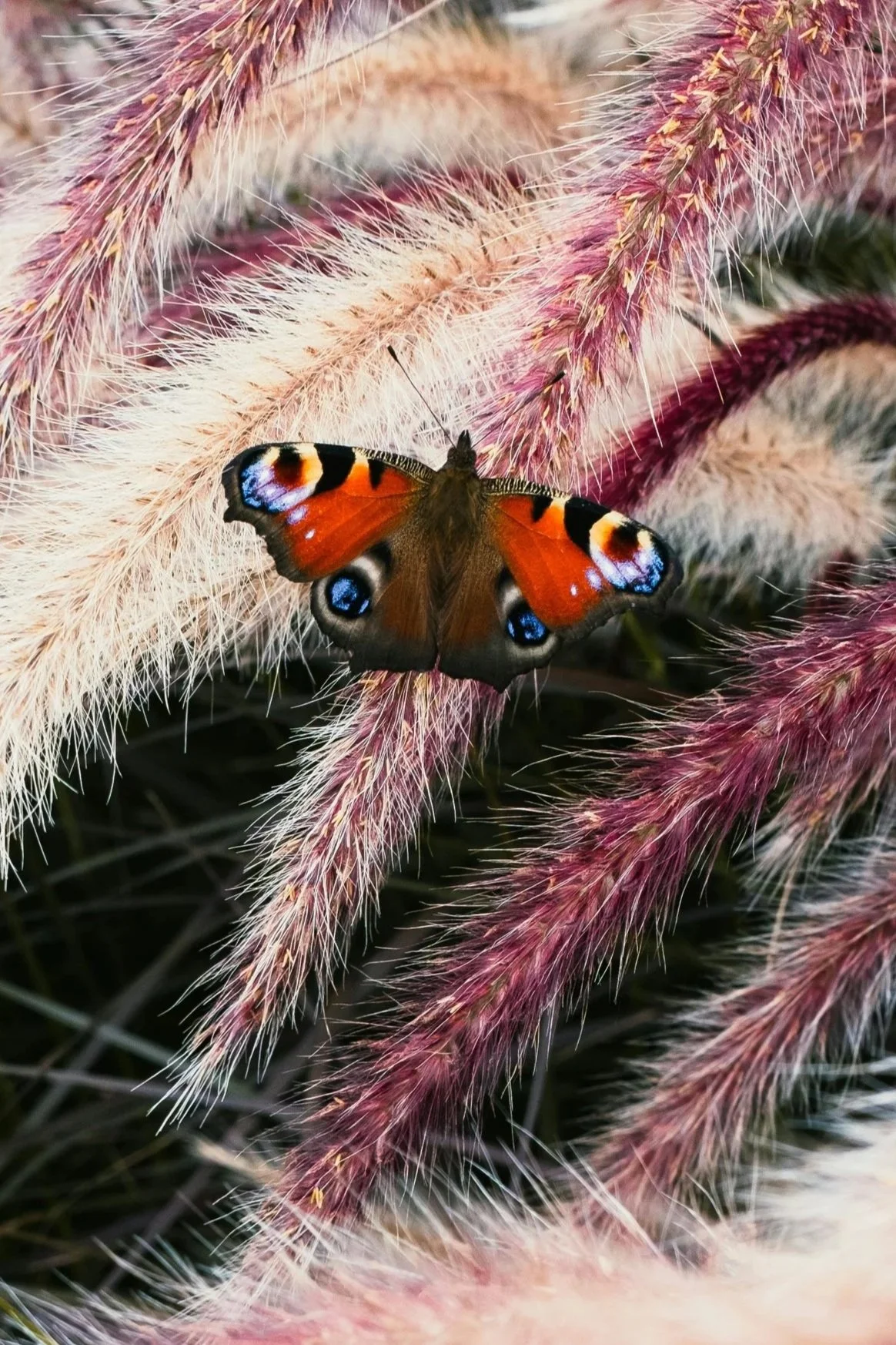 Energiearbeit - Dein Schlüssel zu mehr Balance und innerer Stärke
