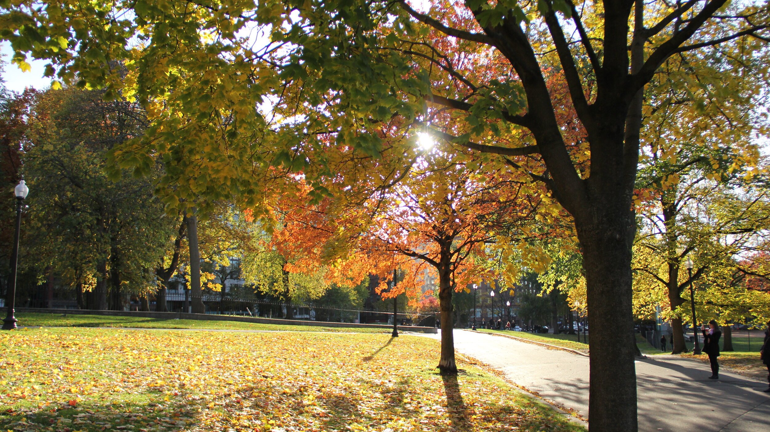 The Boston Common at the start of Autumn as some trees' leaves begin to turn golden red while others still boast the greeness of summer.