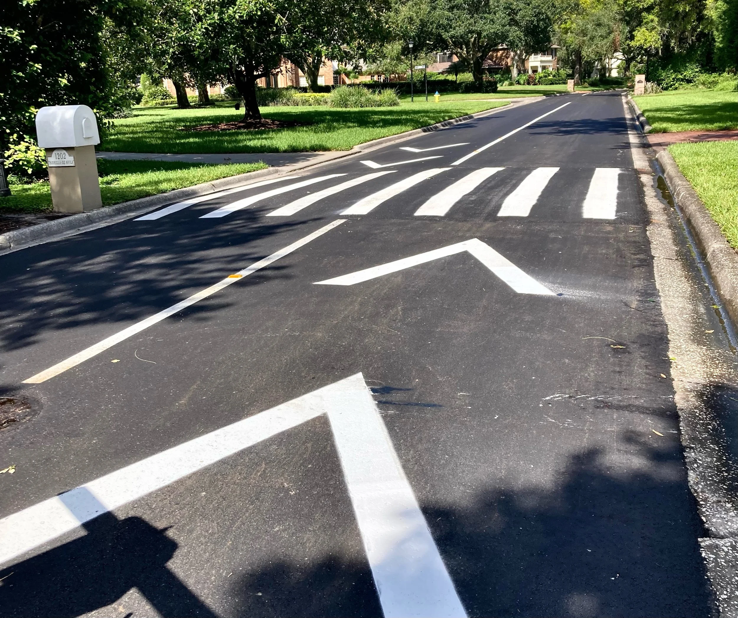 A residential street with a crosswalk, painted with white lines and arrows, in a suburban Florida neighborhood with green lawns, trees, and houses.