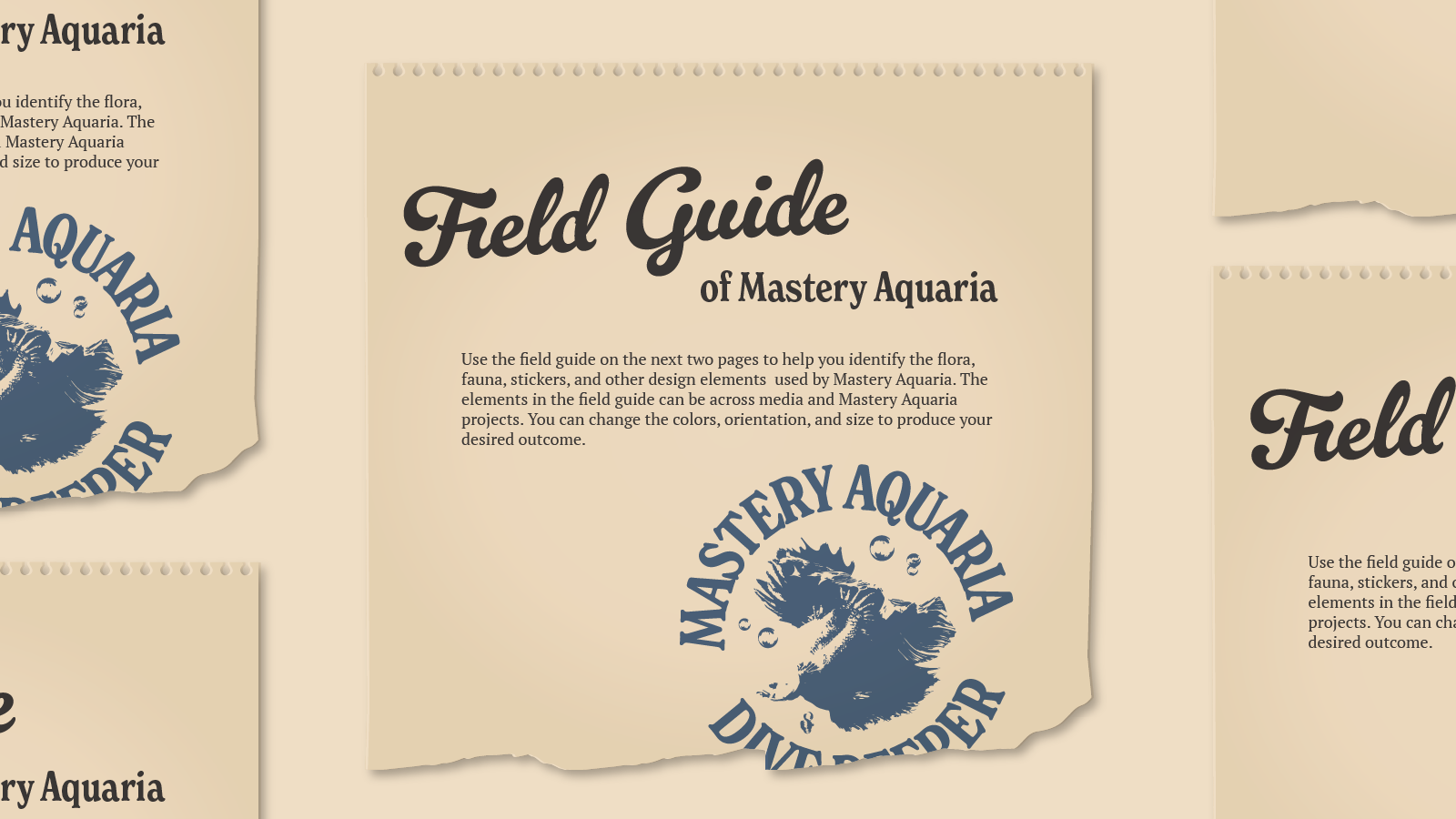 Mastery Aquaria Brand Guidelines-17.png