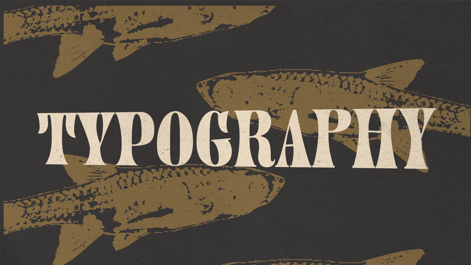 Mastery Aquaria Brand Guidelines-13.png