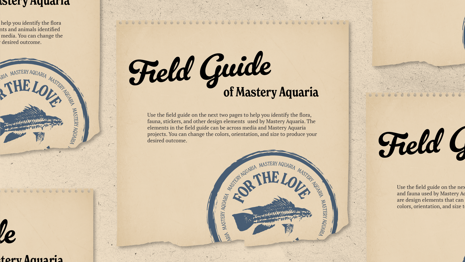 Mastery Aquaria Brand Guidelines-17.png