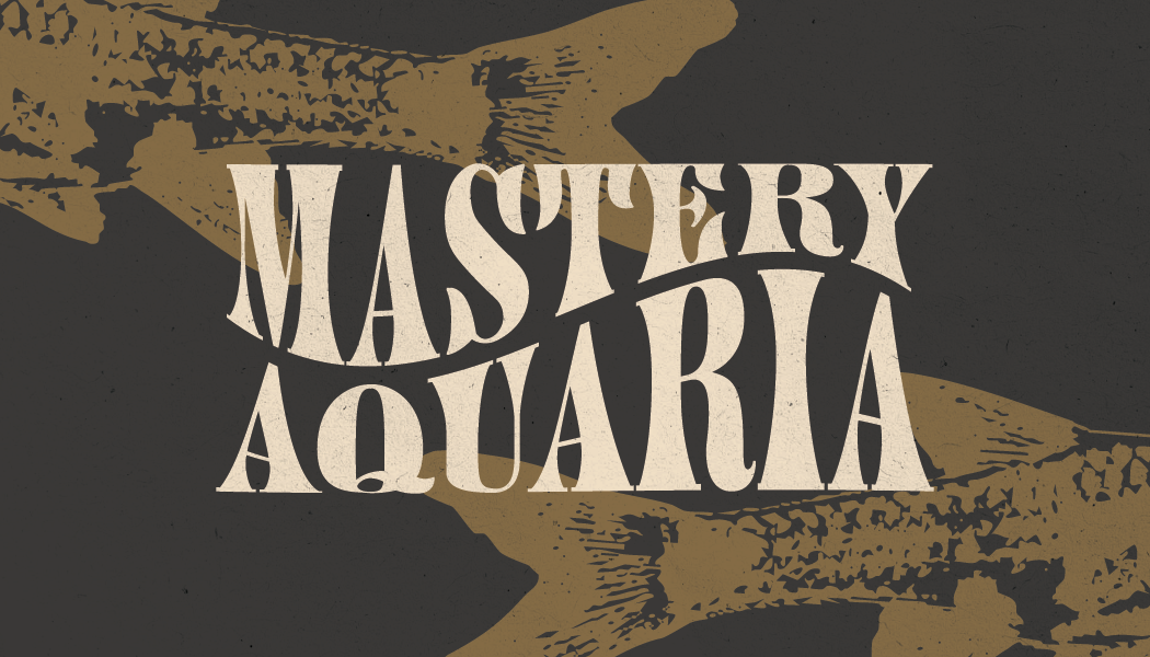 Postcards to Print NEW QR-17.png