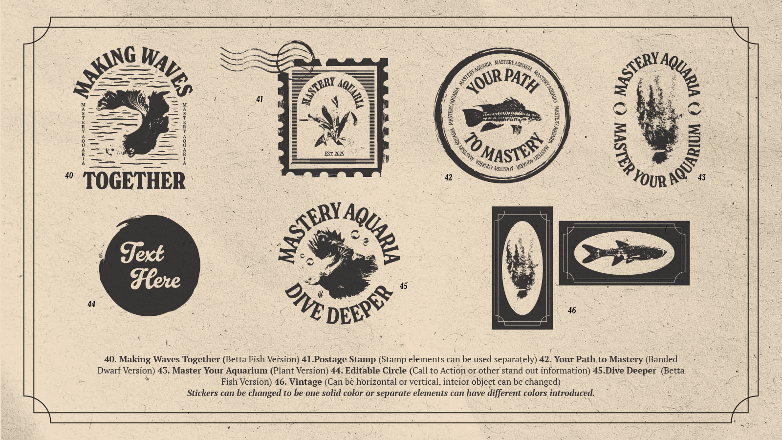 Mastery Aquaria Brand Guidelines-20.png