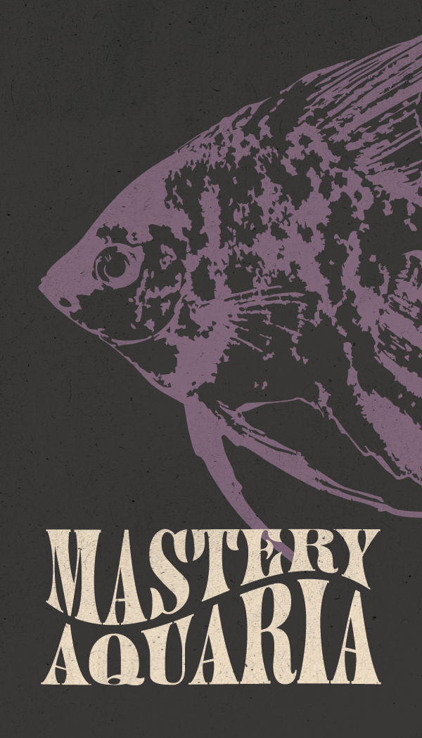 Postcards to Print NEW QR-19.png