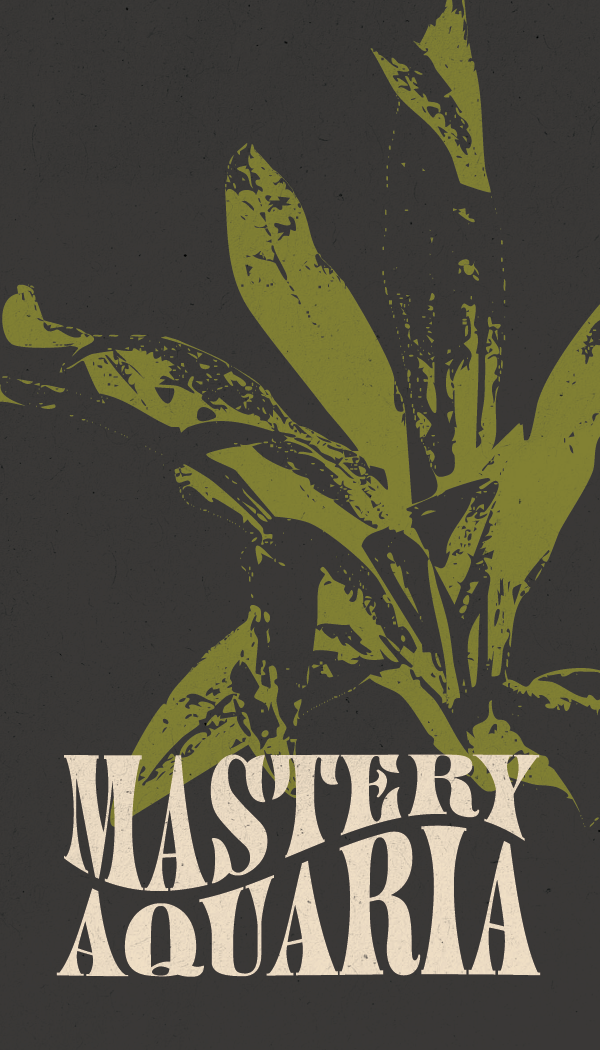 Postcards to Print NEW QR-21.png