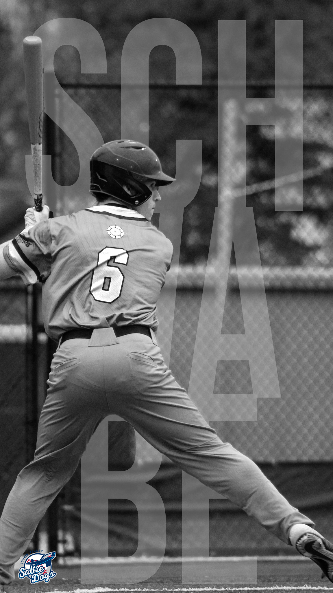 schwabe wallpeper.png