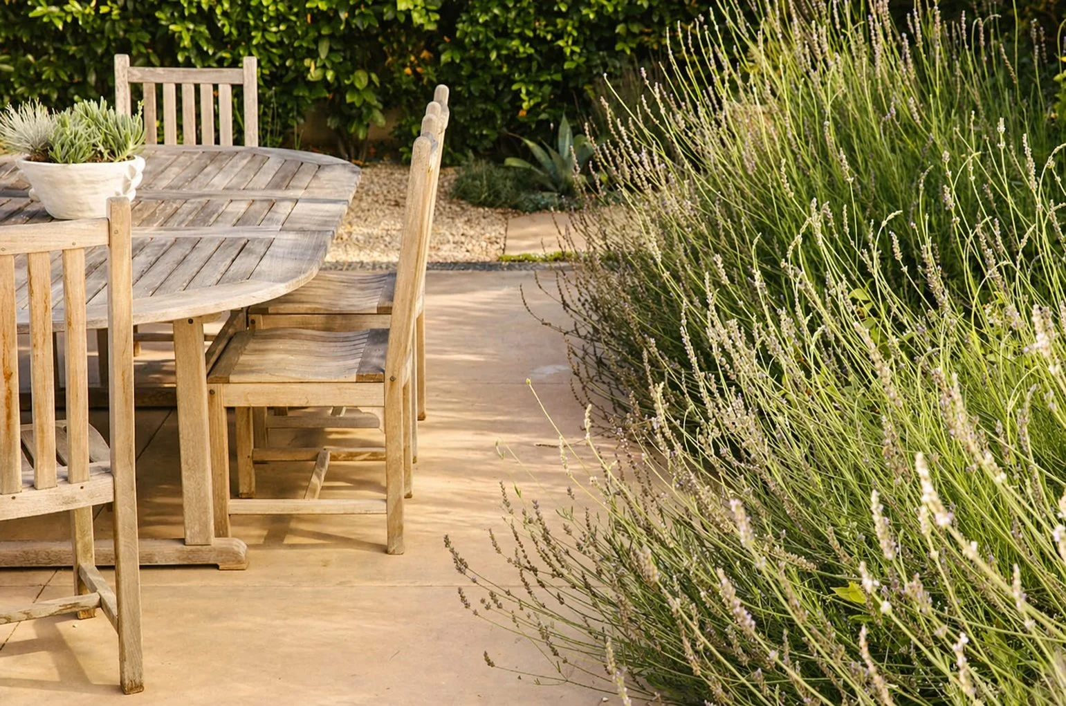 Brett-Ryan-Pools_Orange-County_Hardscape_Sunset concrete topcast beige with landscape_4-22.jpg