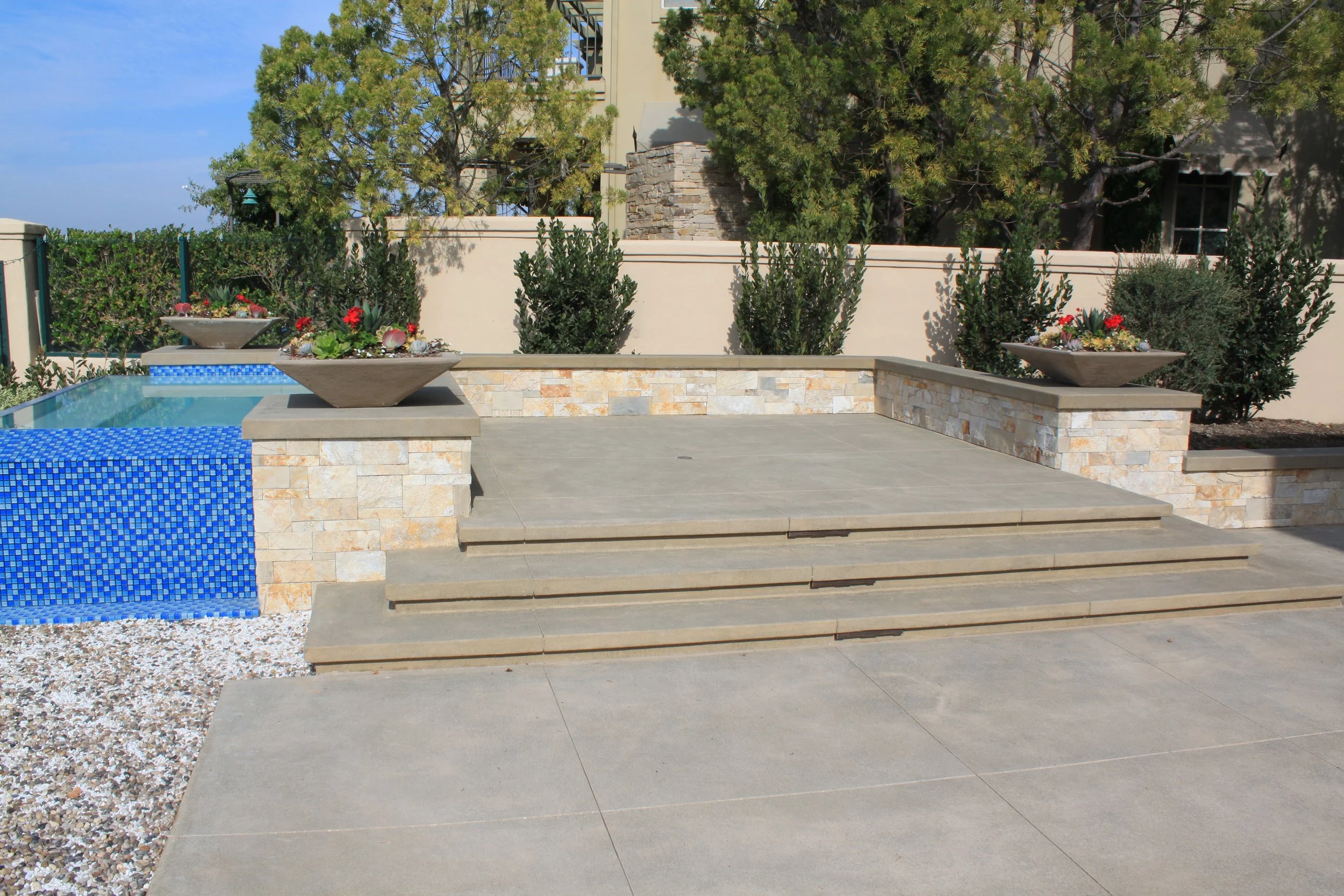 A backyard with a swimming pool edged with blue mosaic tiles, stone planters with succulents, a beige stone patio, steps leading to a garden, green shrubs, and large trees behind a cream-colored wall.