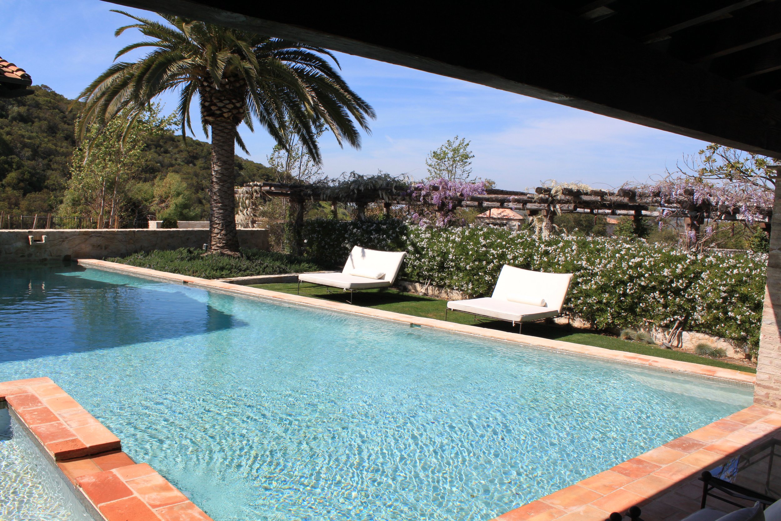 A swimming pool surrounded by a stone border with two white lounge chairs on a grassy area, tall palm trees, and flowering bushes in the background. The sky is clear and blue.