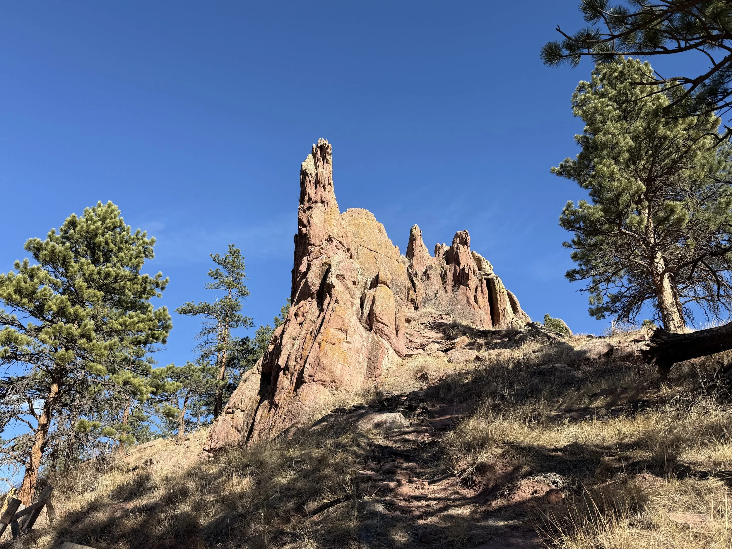 A rocky outcrop with jagged reddish-brown rocks rising above pine trees, under a clear blue sky (The Red Rocks trail in Boulder, CO).