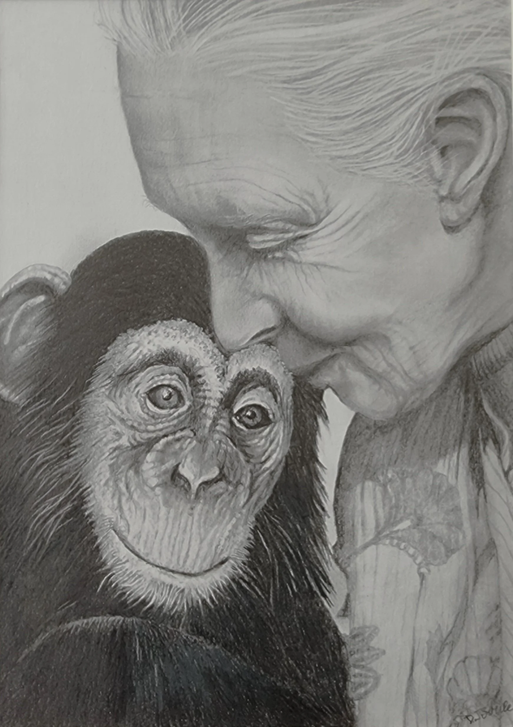 Jane Goodall and Chimpanzee.jpg