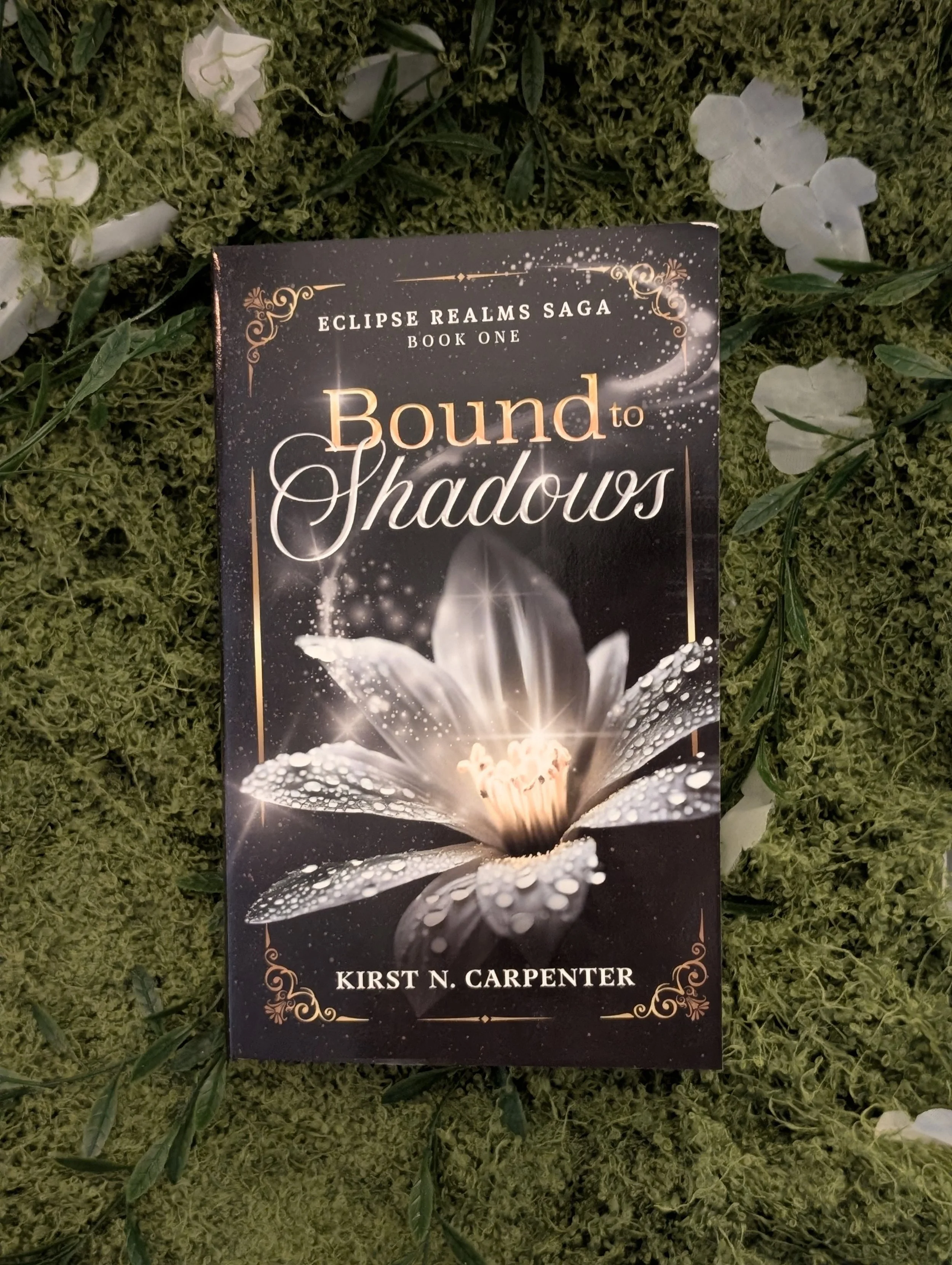 Bound to Shadows: Signed Author Copy