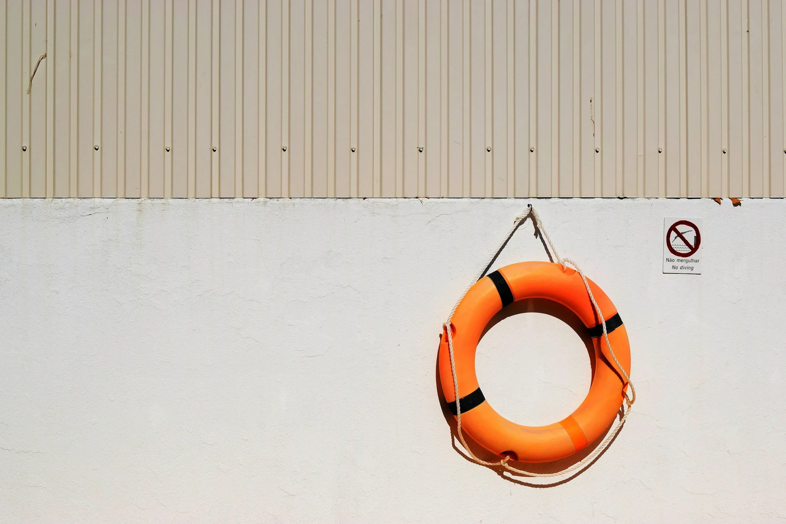 lifeguard flotation ring