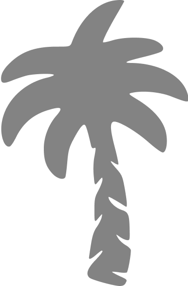 Palm Tree MGMT