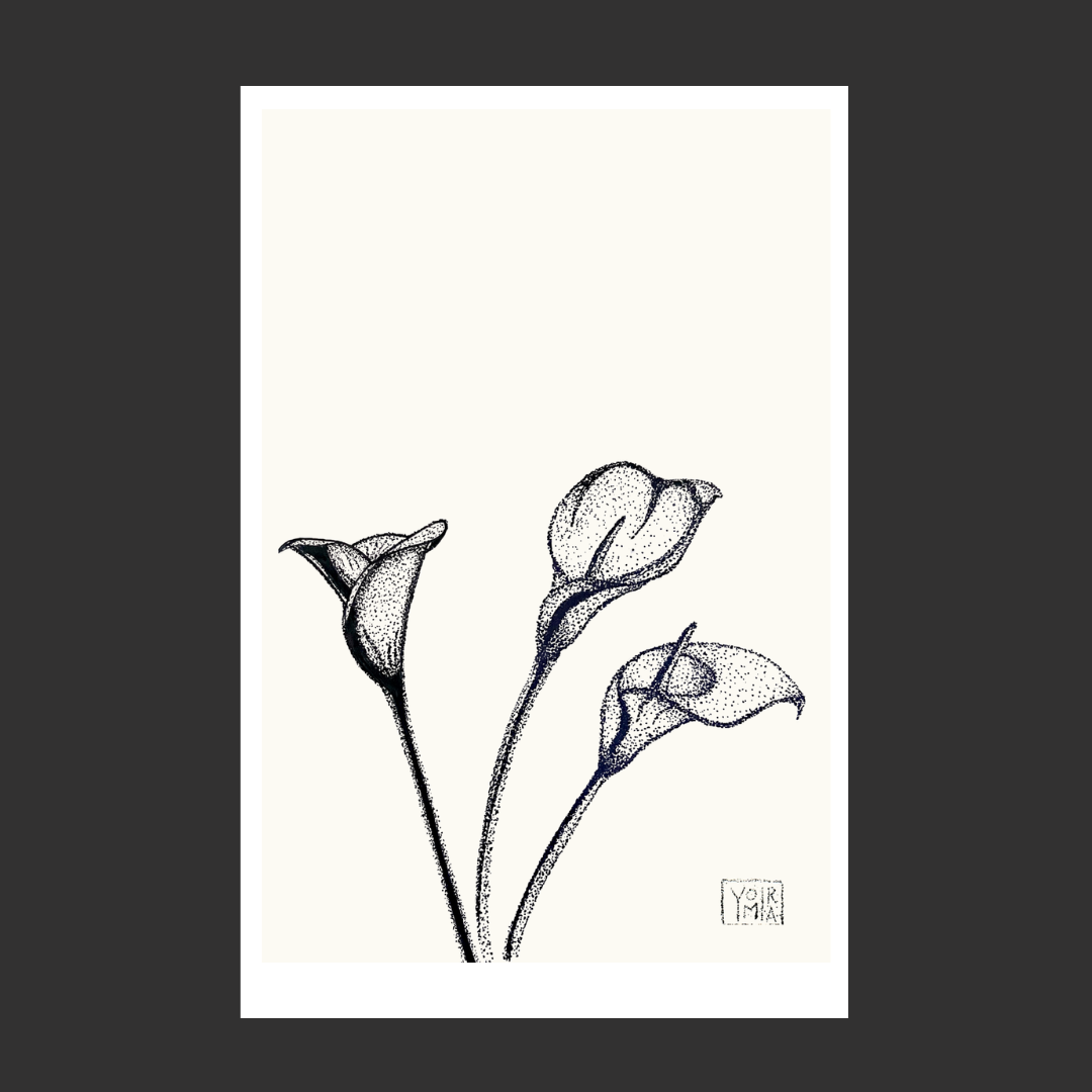 Calla Lily Print