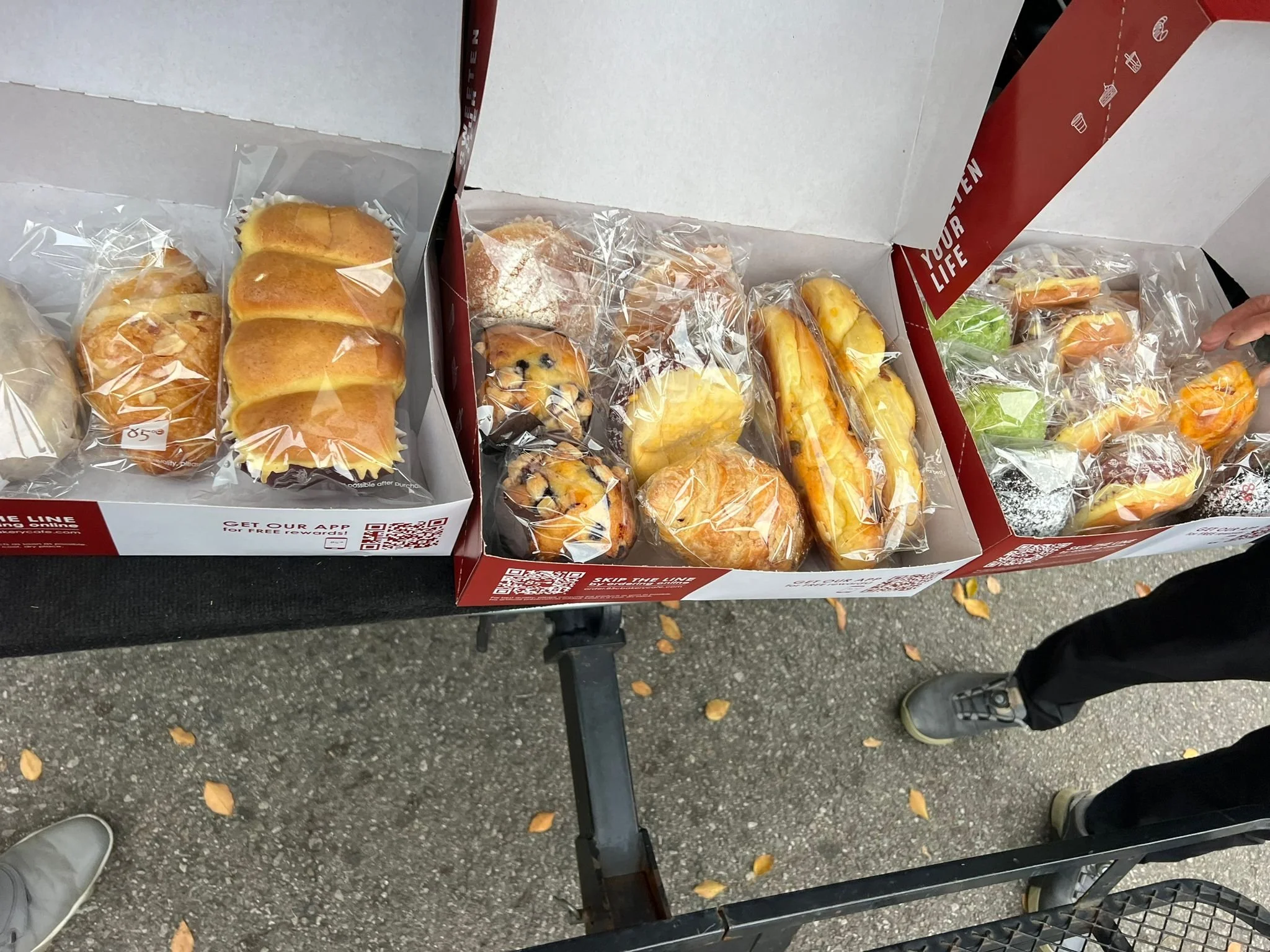 WhatsApp Image 2024-04-23 at 2.31.14 PM (10).jpeg