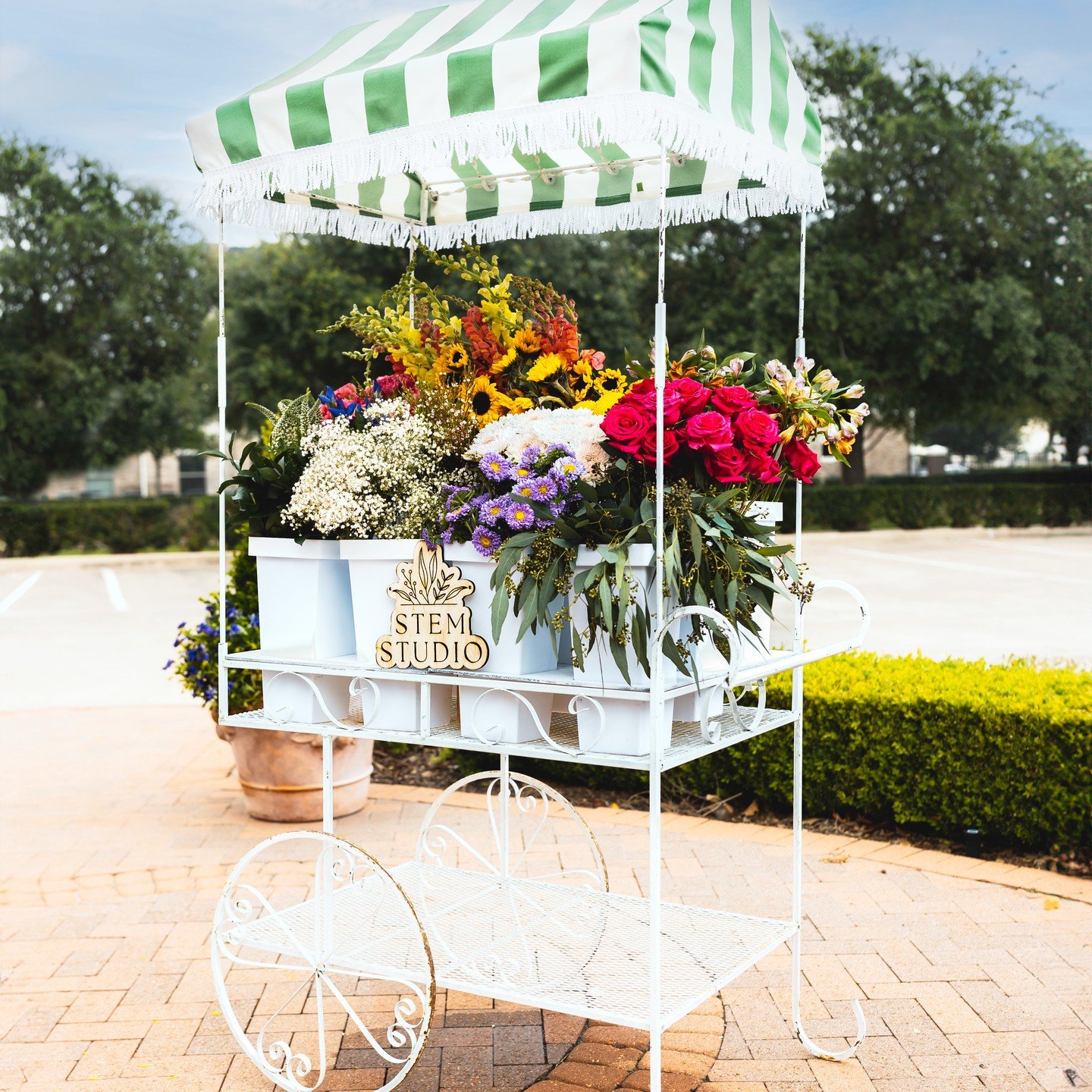 I'm so excited, I just can't wait! The Stem Studio cart is ready for booking. The website goes live TOMORROW -- link in bio!

#flowercart #houstonflowercart #flowercartrental #houstonflowers #flowerworkshops #houstonbridalshower #houstonbabyshower #f