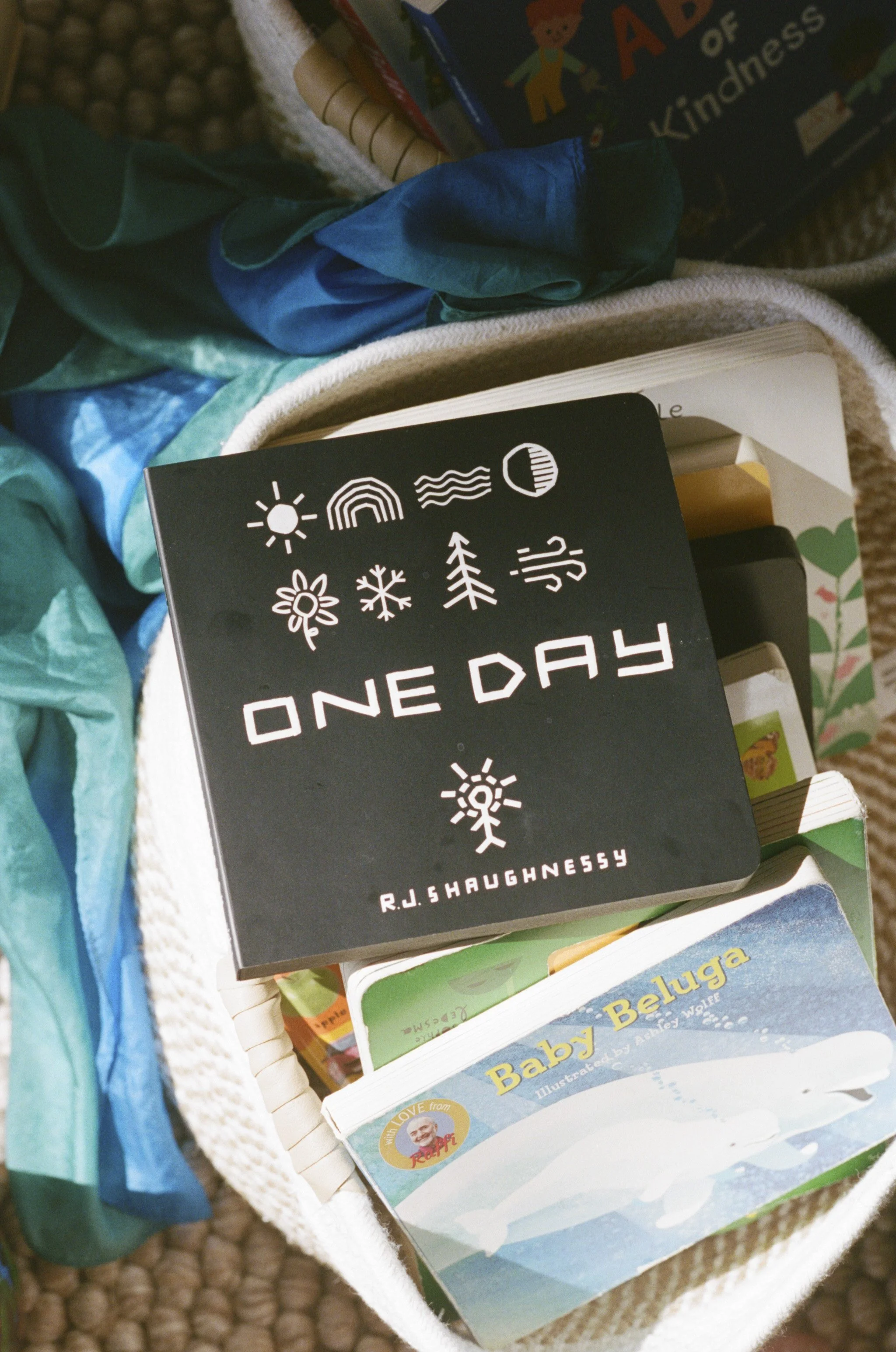 Close-up of a bookshelf with a black book titled 'One Day' by R.J. Shaughnessy, featuring white icons of weather symbols on the cover, surrounded by children's books and a blue and green fabric item.